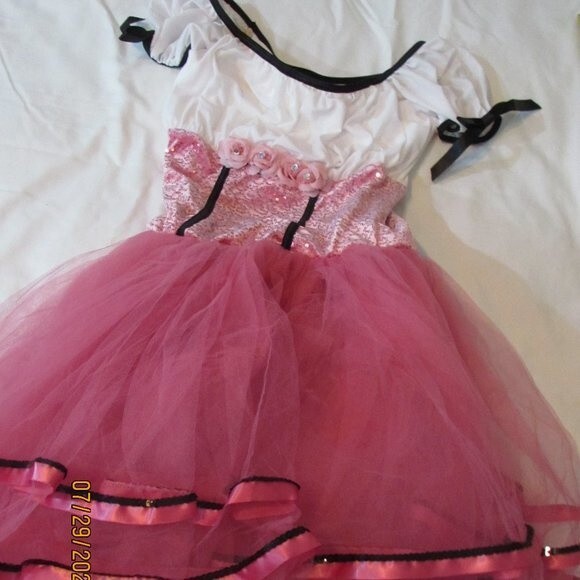 DANCE DRESS SIZE S/M PINK SEQUIN ROSES TULLE LAYERS COSTUME HALLOWEEN BARBIE - Picture 1 of 16
